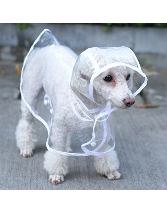 Köpek Yağmurluğu -sarı - (x Small)