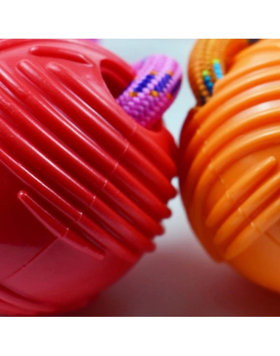 Köpekler İçin Dayanıklı Kauçuk Toplu Oyuncak