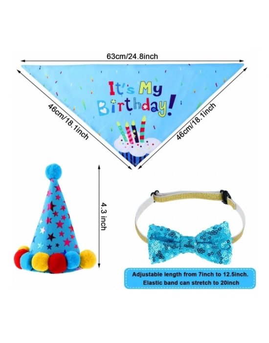 Köpekler İçin Doğum Günü Partisi Seti