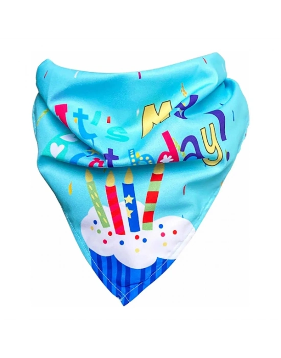 Köpekler İçin Doğum Günü Partisi Seti