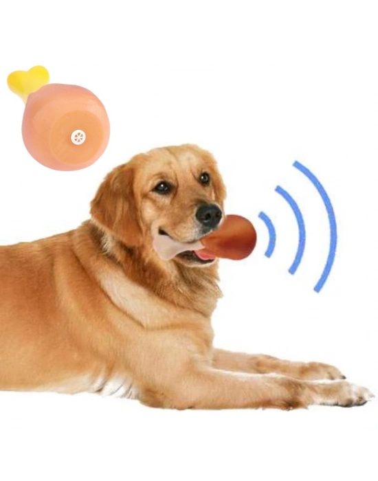 ®  Köpekler İçin Oyuncak Tavuk Budu