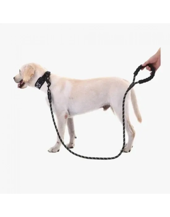 Köpekler İçin Reflektörlü Halat Gezdirme Tasması