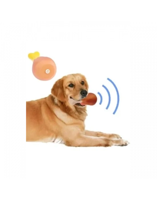 Köpekler İçin Sesli Oyuncak Tavuk Butu