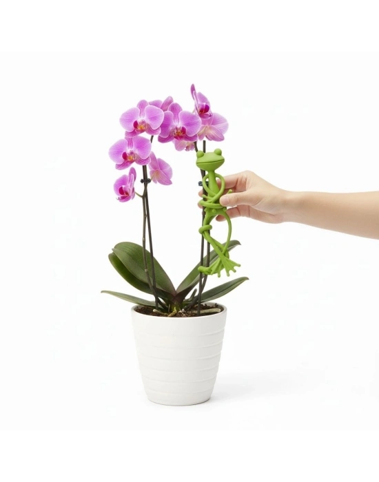 ®  Kurbağa Şeklinde Bitki Sabitleyici – Bahçe ve İç Mekan Bitkileri İçin Dal ve Gövde Destek Aparatı, Çok Amaçlı Bitki Tutucu Klips