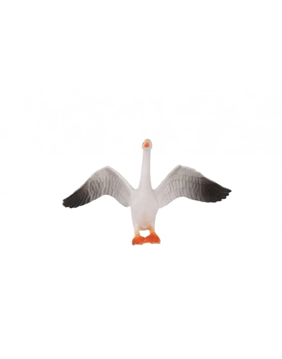 KZL-HY714-1  KUŞLAR