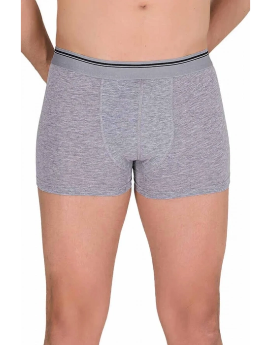 Likralı Erkek Boxer Şort Gri 1097B
