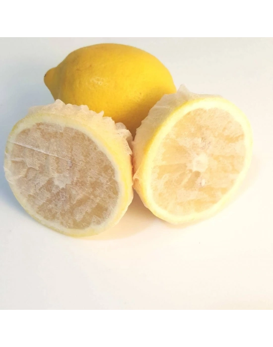 Limon Bonesi / 10 Adet / Bitki Çayı Bonesi