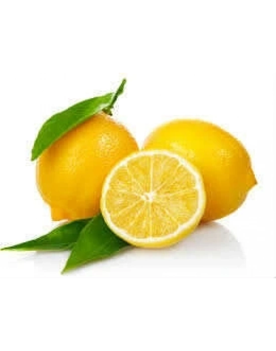 Limon Bonesi / 100 Adet / Bitki Çayı Bonesi