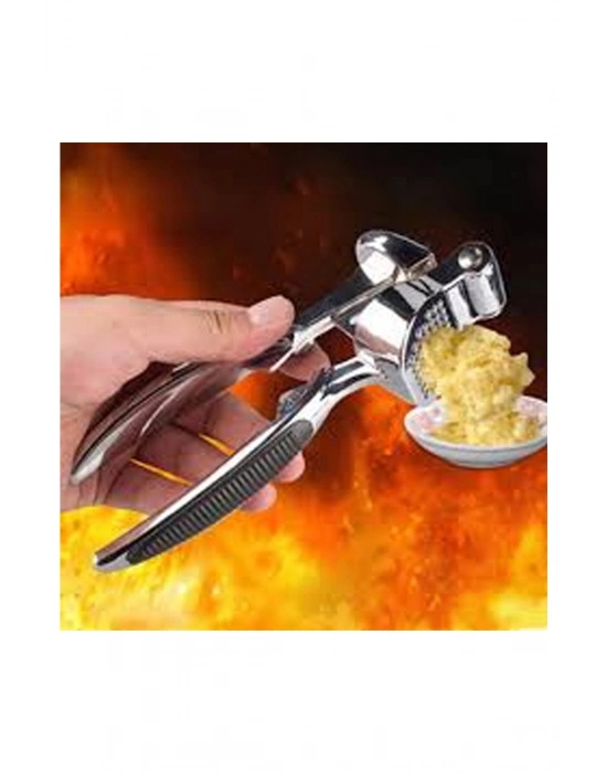 Lüks Metal Sarımsak Zencefil Ezici