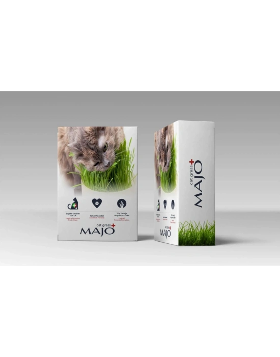 Majo Üç Kullanımlık Naturel Kedi Çimi Yedek Tohumlu
