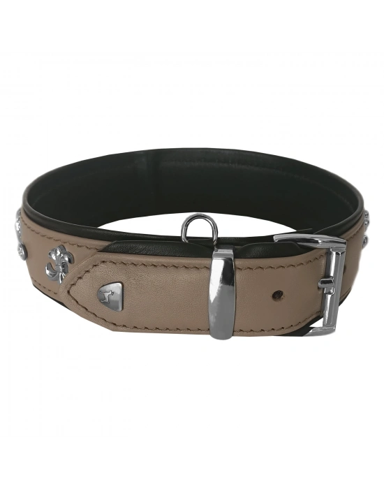 Markapet Taşlı Ve Aynalı Köpek Boyun Tasması 49-55 cm Large Taba