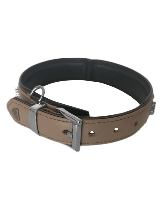 Markapet Taşlı Ve Aynalı Köpek Boyun Tasması 49-55 cm Large Taba