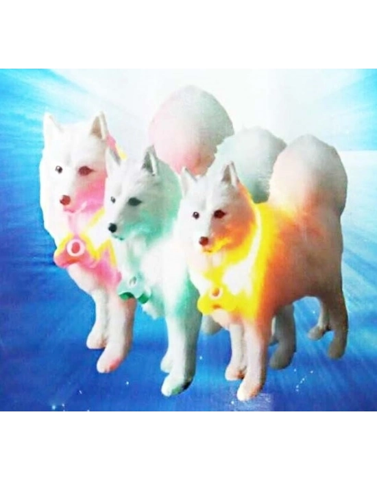 Mavi Renk Neon Led Işıklı Kedi Köpek Kolyesi (18,5 cm)
