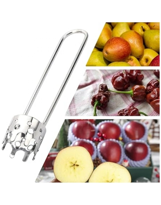 Mevve Sebze Çekirdek Çıkarma Aparatı