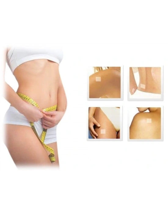 Mıknatıslı Zayıflama Göbek Bandı (10 Adet)