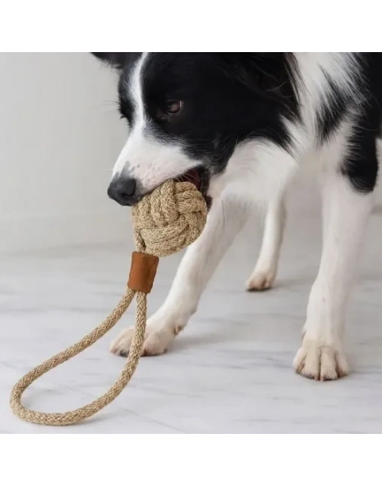 Mikopet Köpek Oyun Topu