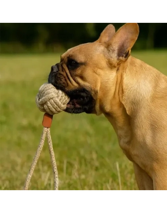 Mikopet Köpek Oyun Topu