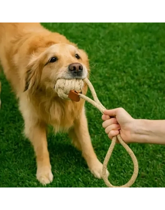 Mikopet Köpek Oyun Topu