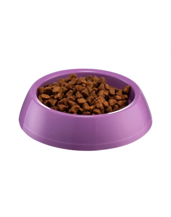 Mikopet Küçük Yuvarlak Mama Kabı