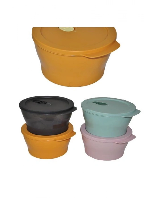 Mikrodalga Saklama Kabı Gusto 2 Lt. Royaleks-ÇNK2287