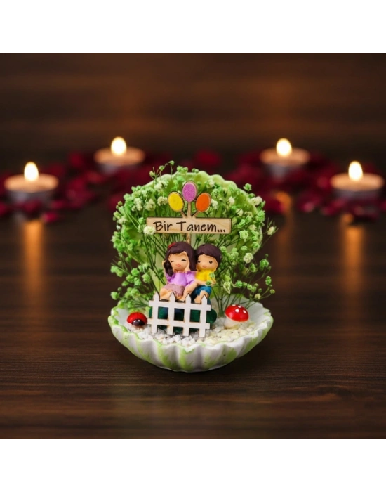 Mini Midye Teraryum - Özel Gün Hediyesi