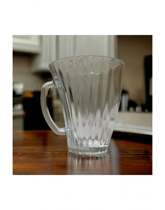 Moza Mug 6lı Kulplu Bardak Royaleks-G-210