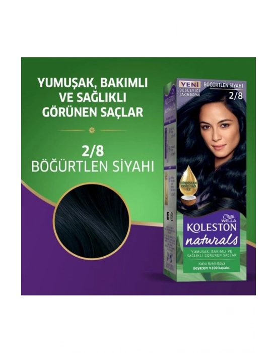 Naturals Saç Boyası Böğürtlen Siyahı 2/8 2x Paket