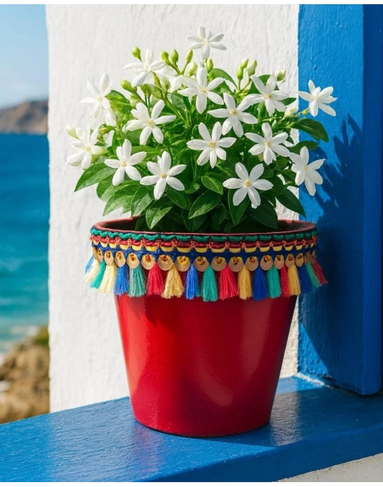 ®  DEKORATİF SAKSI 1.7 LİTRE Kırmızı