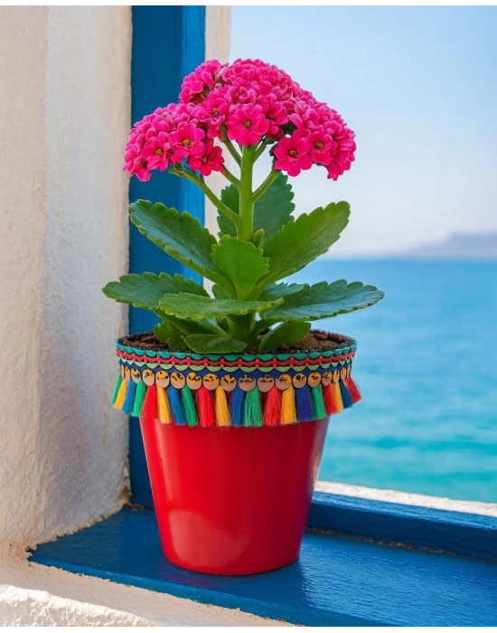 ®  DEKORATİF SAKSI 1.7 LİTRE Kırmızı