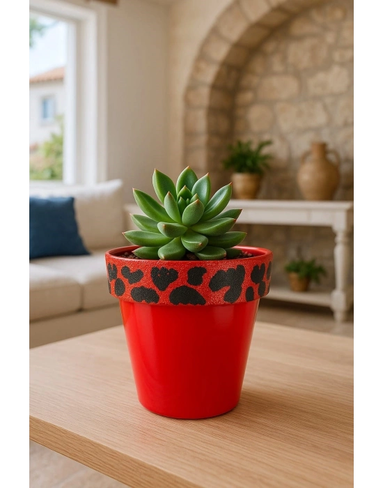 ® Nf Ferrari Kırmızı Saksı 1.7 litre