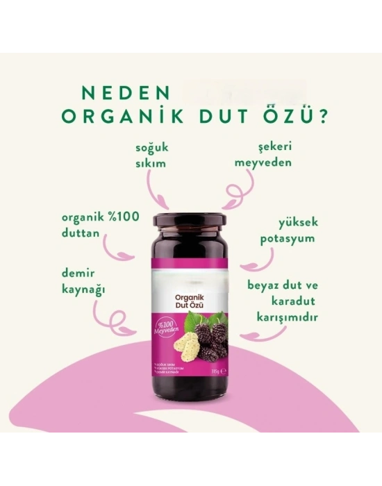 Organik Dut Özü 315 Gr