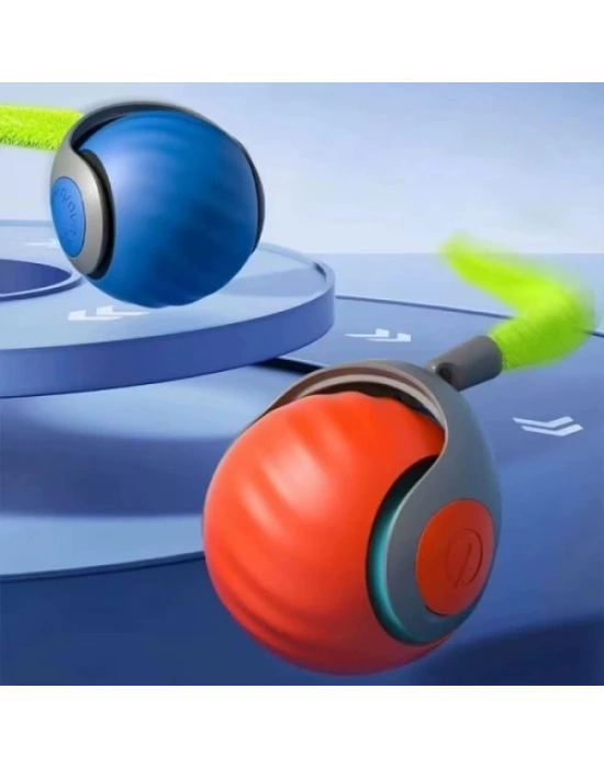 Otomatik Hareketli Kedi Oyuncağı