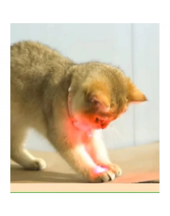 Otomatik Lazer Oyun Tasması