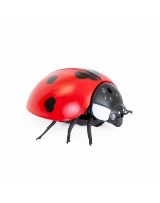 Oyuncak Işıklı Uğurböceği