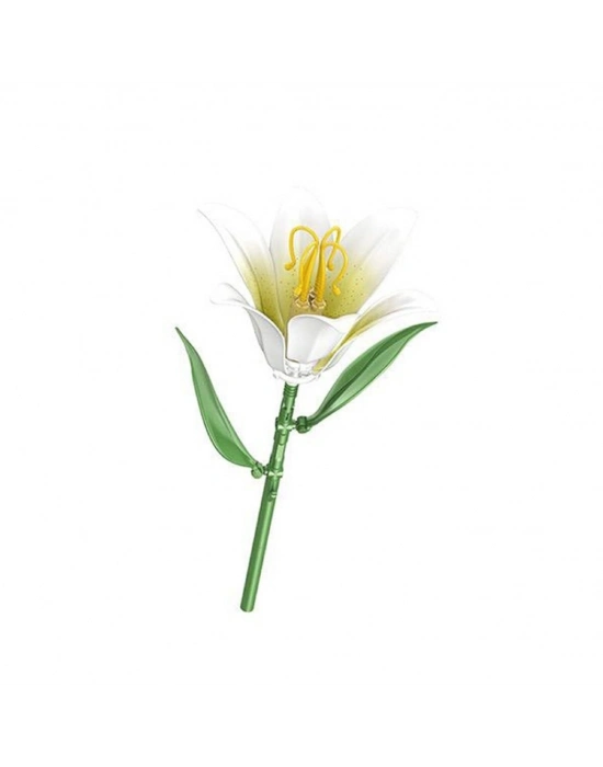 P655053  ZAMBAK 41 PARÇA BLOCK OYUNCAK