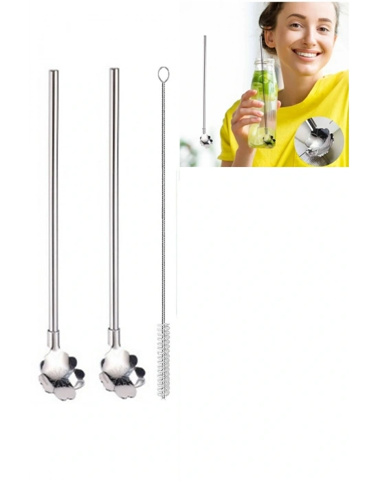 Paslanmaz Metal 2 Li Kaşıklı Pipet Fırça Seti