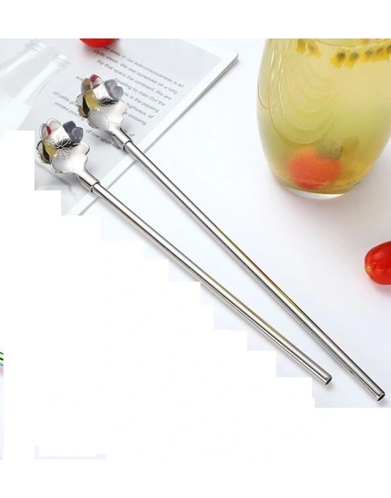 Paslanmaz Metal 2 Li Kaşıklı Pipet Fırça Seti