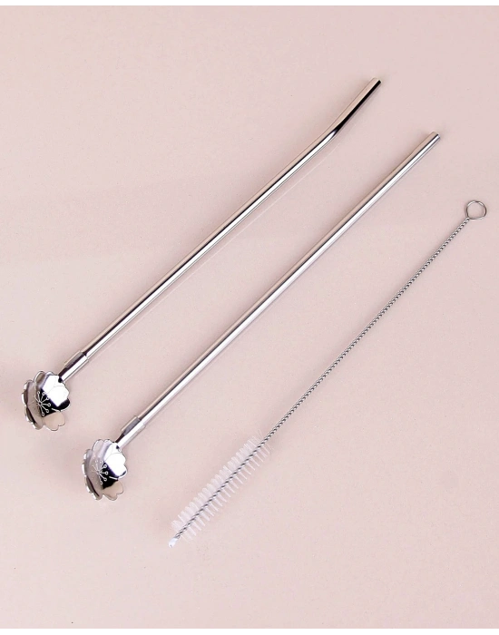 Paslanmaz Metal 2 Li Kaşıklı Pipet Fırça Seti