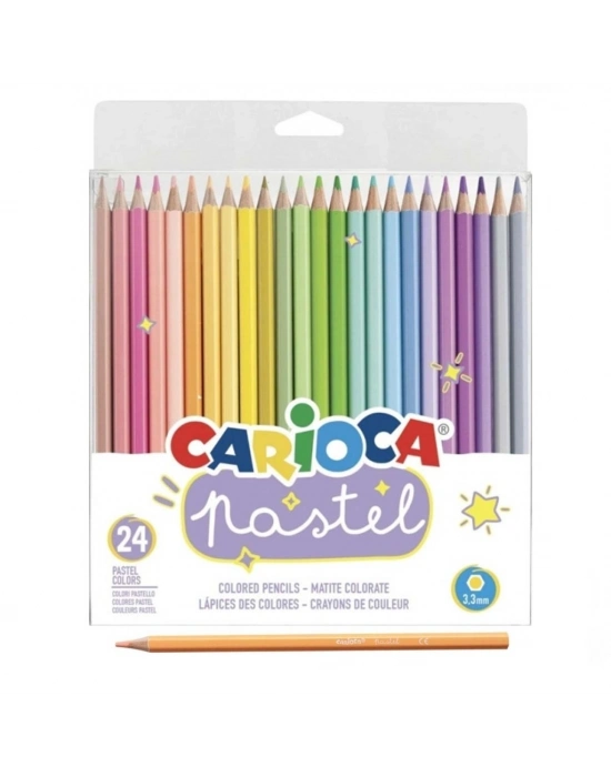 ®  Pastel Renkli Kuru Boya Kalemi 24lü