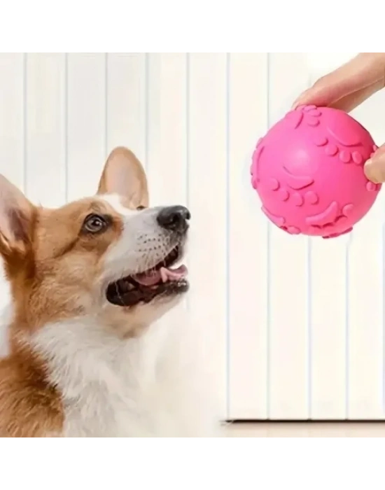 Pati Desenli Dayanıklı Köpek Isırma Topu