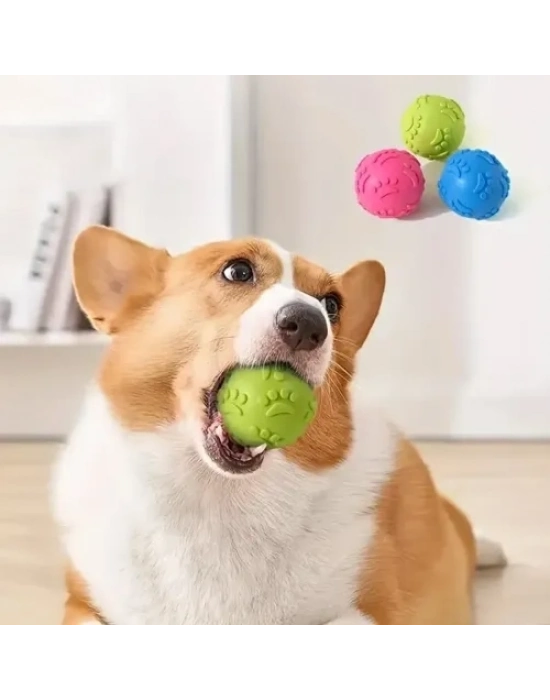 Pati Desenli Köpek Isırma Topu