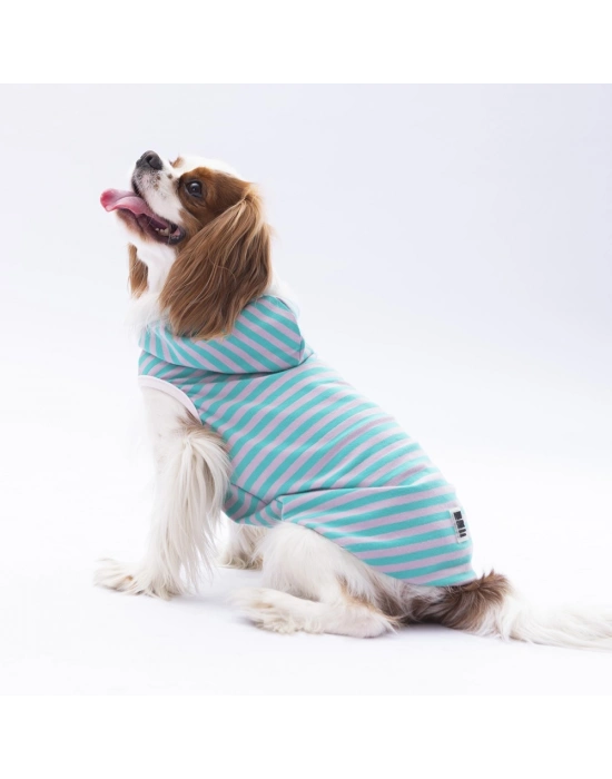 Pawstar Aqua Sunny Kapşonlu Tişört Small 23x24x37 cm