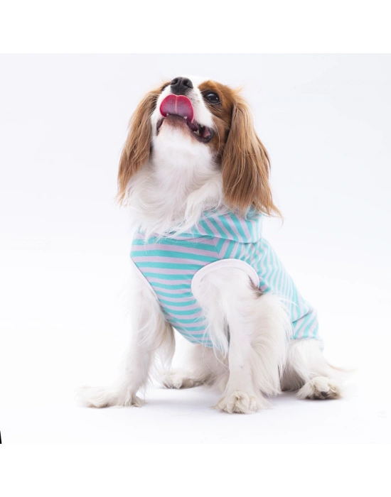 Pawstar Aqua Sunny Kapşonlu Tişört Small 23x24x37 cm