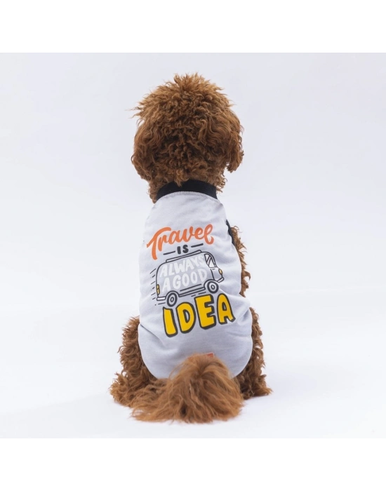 Pawstar Grey Travel Tişört XXLarge 38X43X58 cm