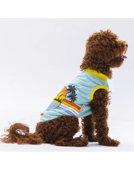 Pawstar Mint Sunrise Tişört Small 23x24x37 cm