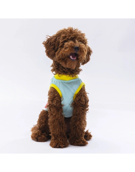 Pawstar Mint Sunrise Tişört Small 23x24x37 cm