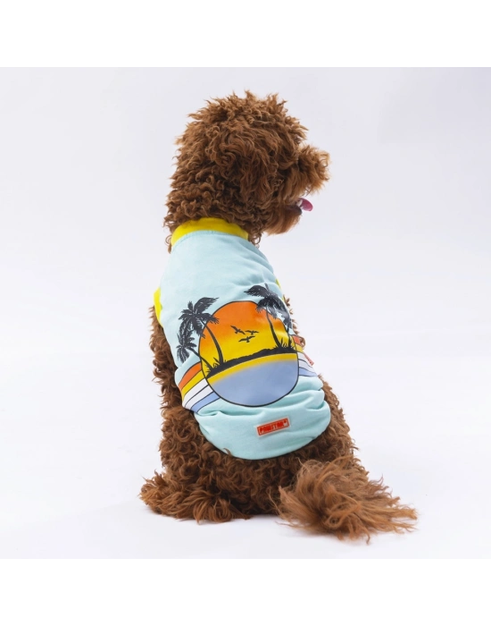 Pawstar Mint Sunrise Tişört XXLarge 38X43X58 cm