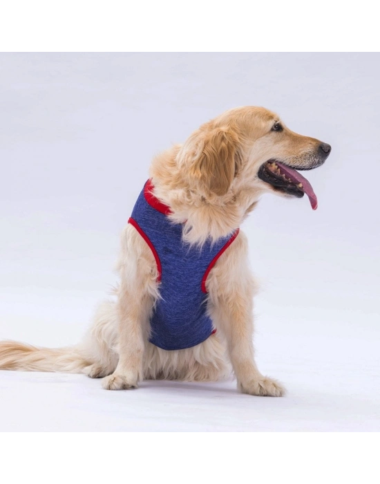 Pawstar Navy Blue Summer Time Büyük T-shirt 3XLarge  43X49X66 CM