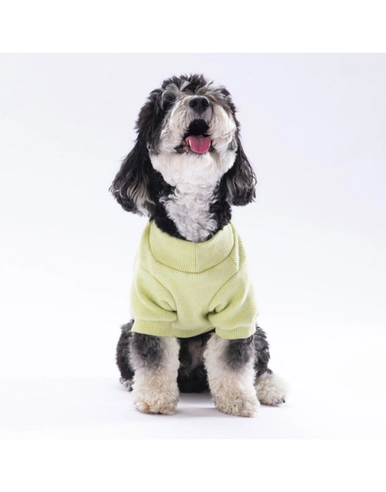 Pawstar Yellow Merino Sweat Large 30X33X46 cm