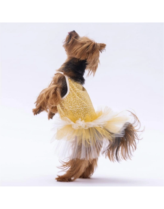 PawStar Yellow Polka-Dot L 30 x 33 x 46 cm